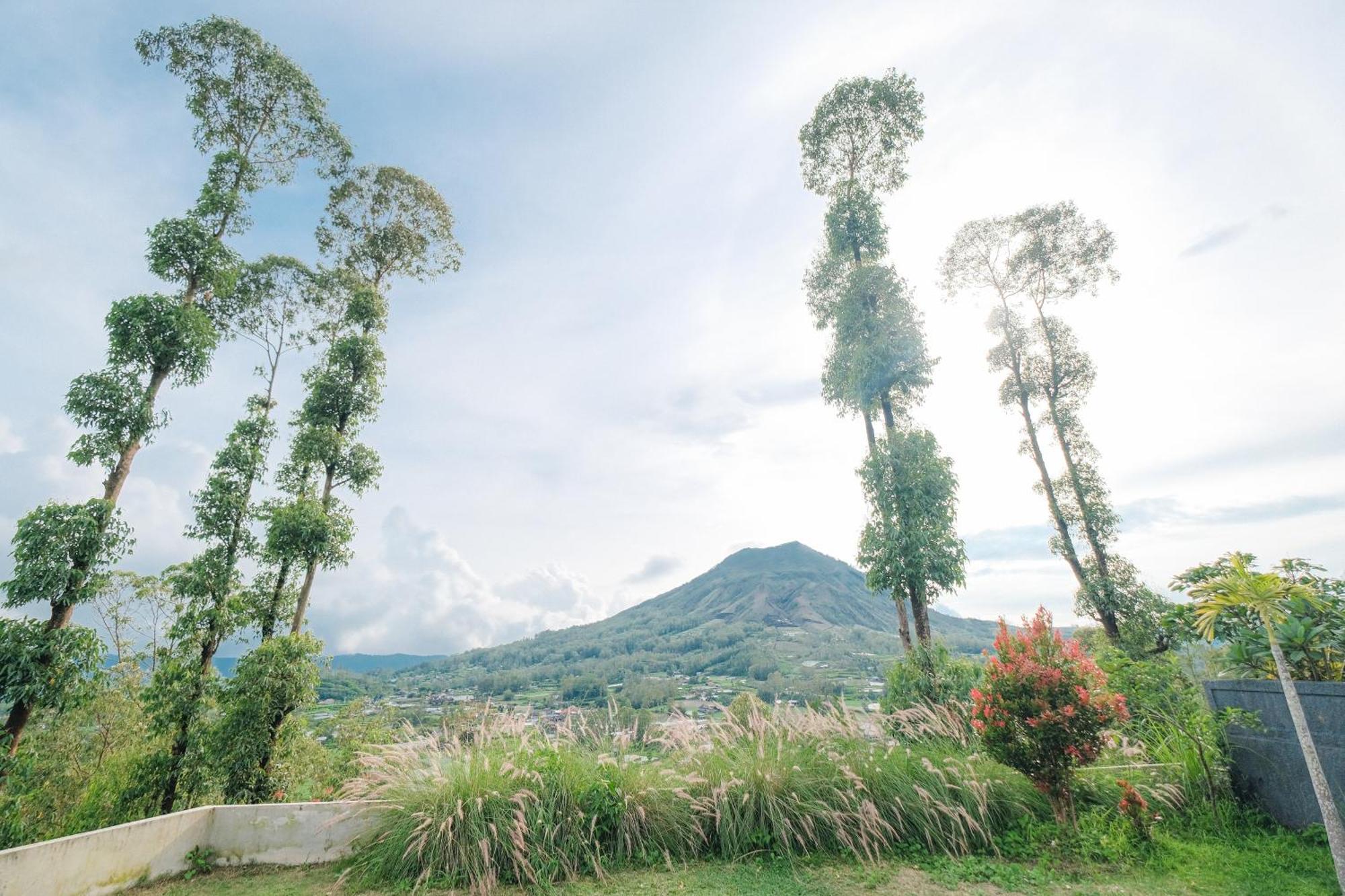 Bunbulan Panorama Bed & Breakfast กินตามานี ภายนอก รูปภาพ